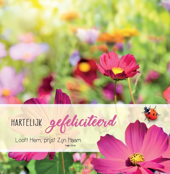 Hartelijk gefeliciteerd - wenskaart Bijbeltekst SV