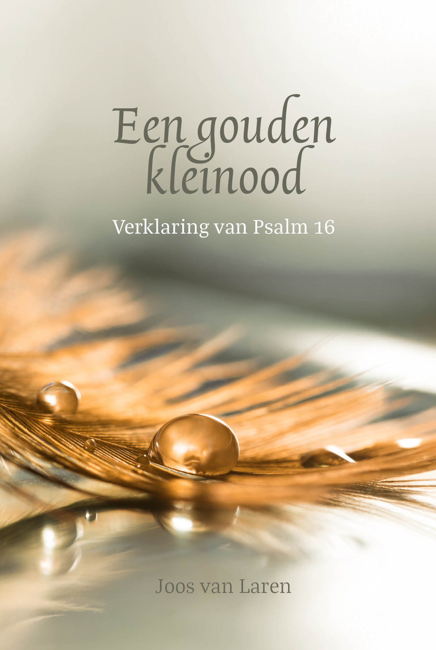 Een gouden kleinood